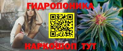 эйфоретик Донецк